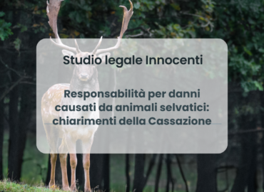 Responsabilità per danni causati da animali selvatici: chiarimenti della Cassazione