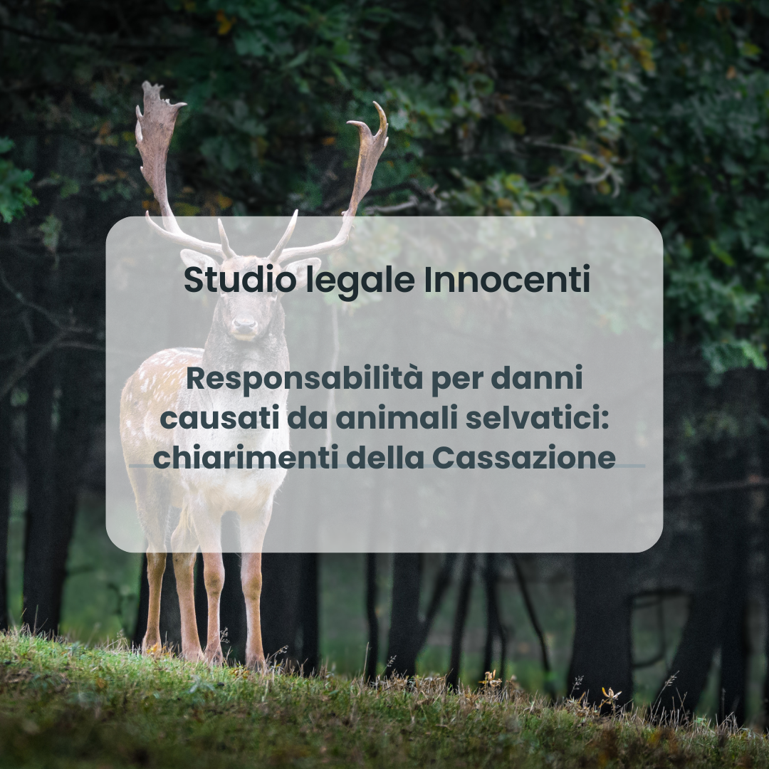 Responsabilità per danni causati da animali selvatici: chiarimenti della Cassazione