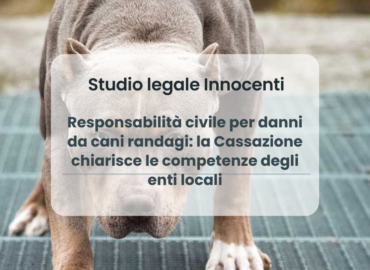 Responsabilità civile per danni da cani randagi: la Cassazione chiarisce le competenze degli enti locali