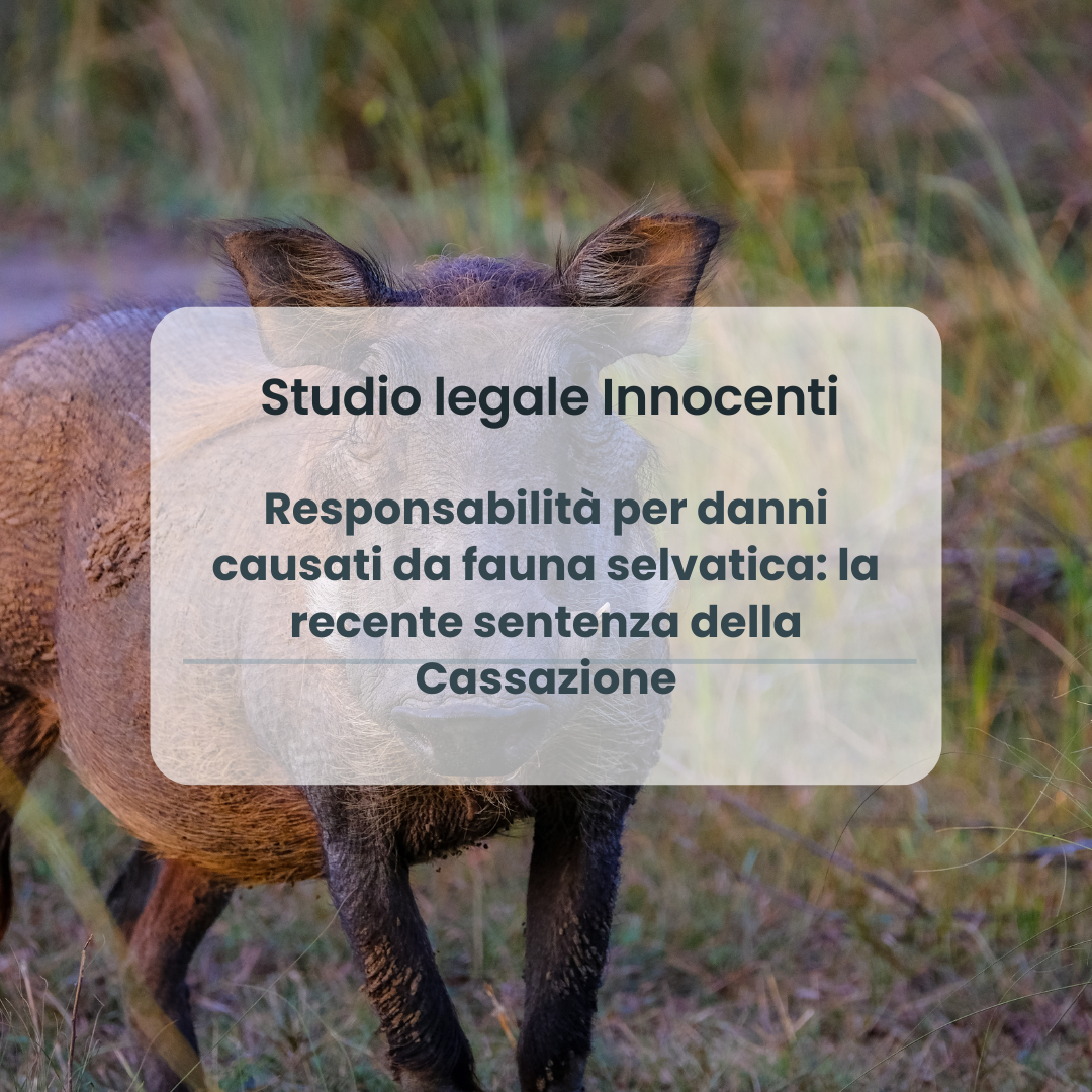 Responsabilità per danni causati da fauna selvatica: la recente sentenza della Cassazione