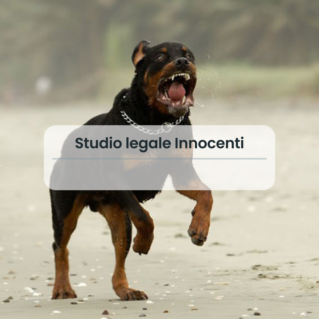 Competenza del giudice di pace per lesioni causate da animali